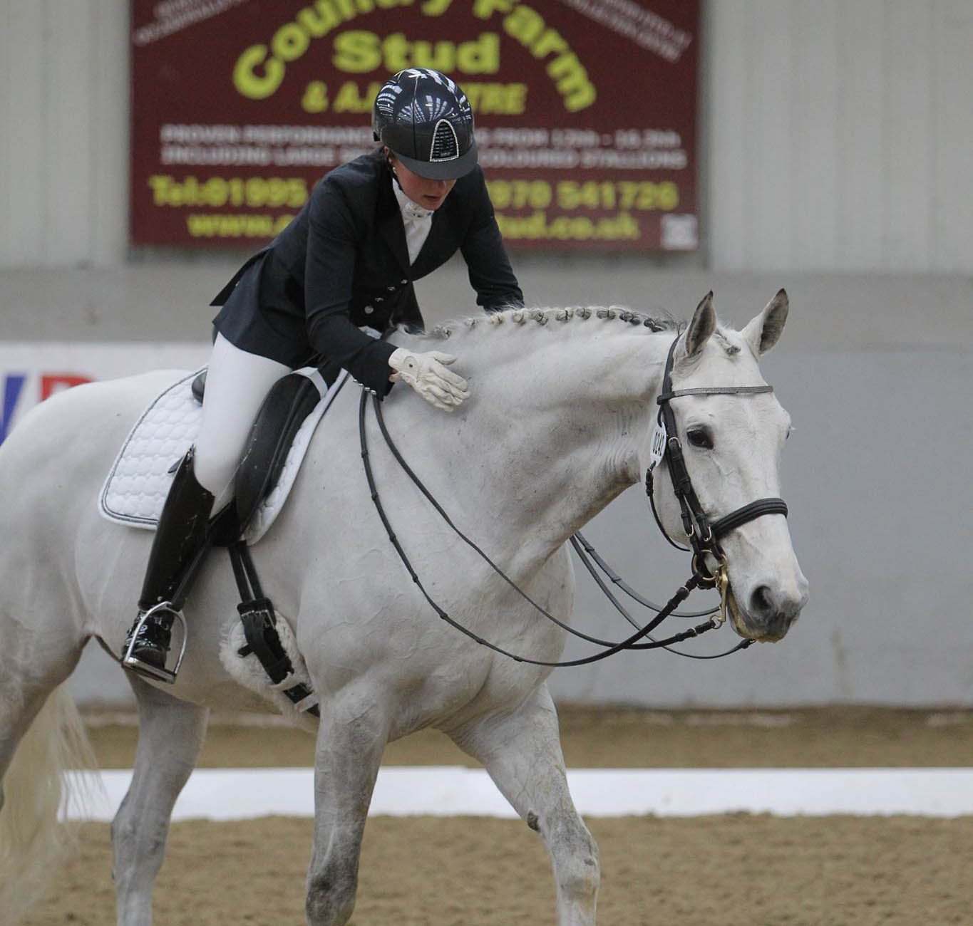 Dressage Horses For Sale UK